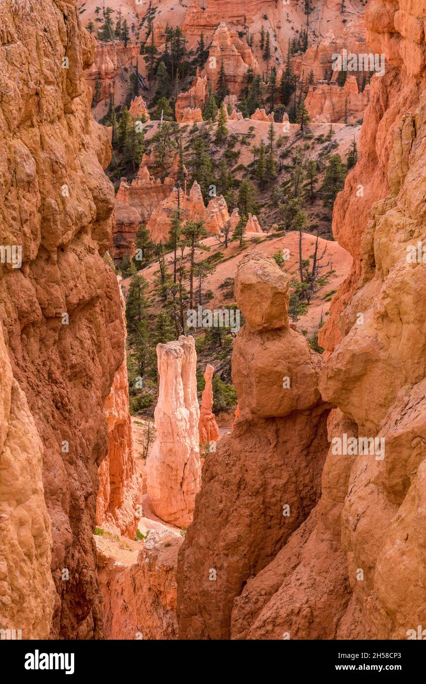 Scenic rocks from the Navajo Loop Trail leading through Bryce Canyon ...