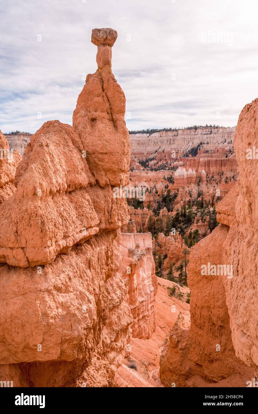 Fragile Thors hammer rock formation in Bryce Canyon, USA Stock Photo