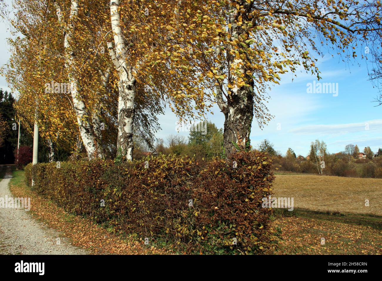 Fields, meadows, vegetation and  forests by autumn, countryside near Zagreb, Croatia Stock Photo