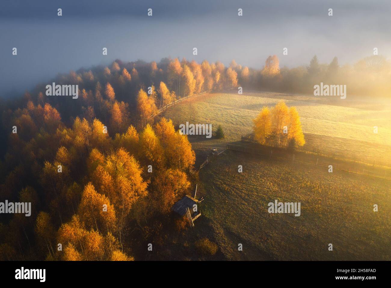 Aerial view of beautiful orange trees on the hill in mountains Stock Photo