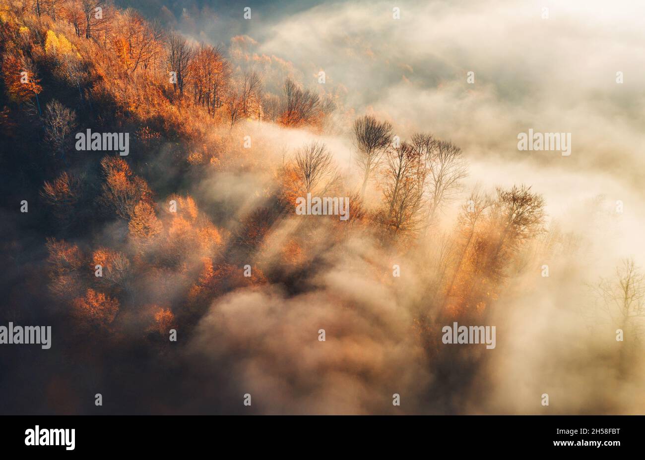 Aerial view of mountain forest in low clouds at sunrise in autumn Stock Photo
