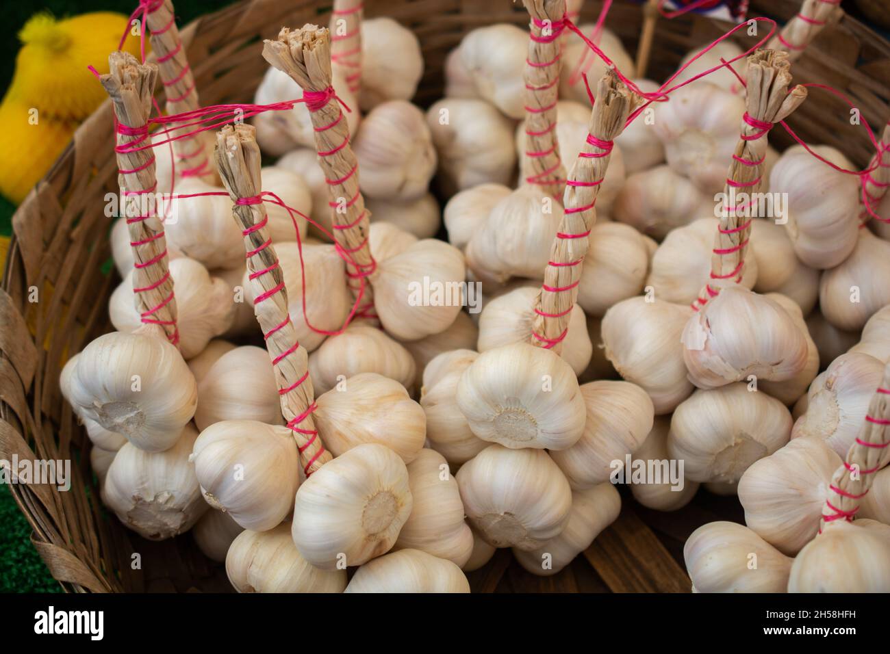 Fresh garlic cloves and garlic bulb for healthy eating Stock Photo Alamy