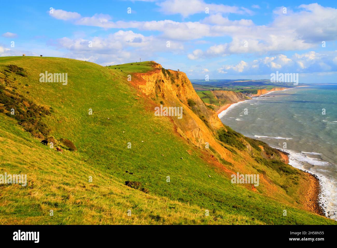 Dorset Jurassic Coastline to West Bay and Chesil beach England UK Stock Photo