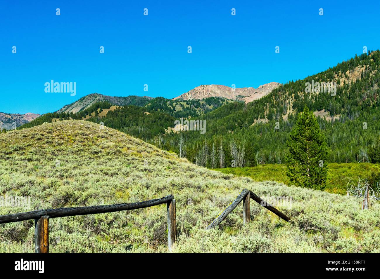 Beautiful scenery of the Sawtooth National Recreation Area, Idaho Stock ...