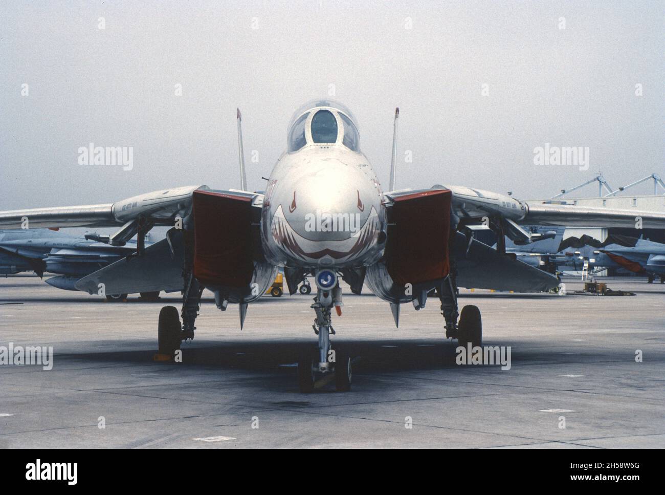 Nose of a VF-211 F-14 Tomcat Stock Photo - Alamy