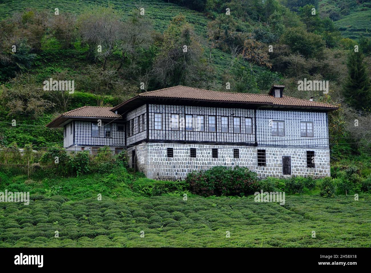 Traditional historical houses in the Çağlayan neighborhood of Artvin province, Fındıklı district. Stock Photo