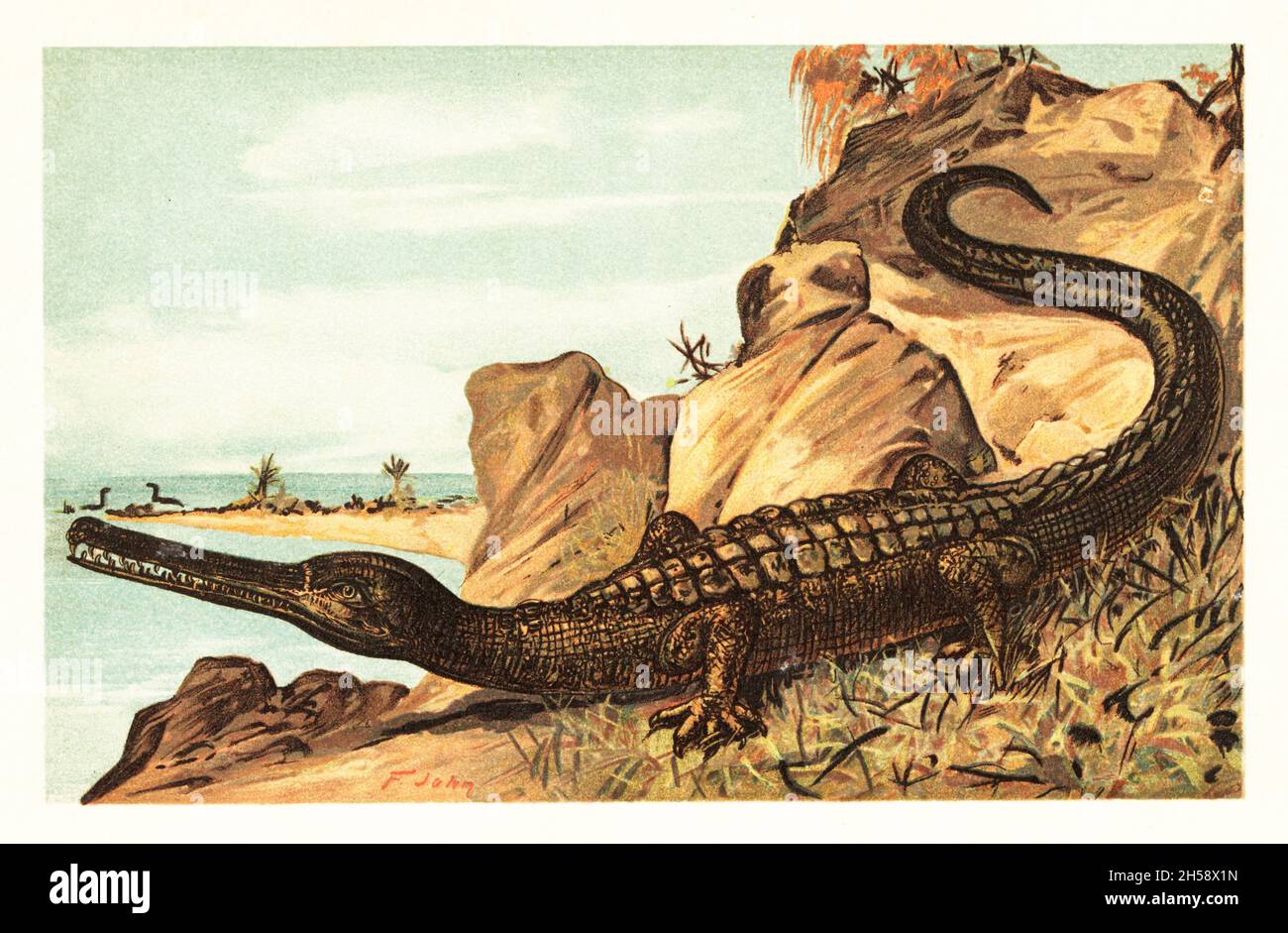 На рисунке изображен майаспондил вымершая рептилия. Метриоринхус древний крокодил. Древние крокодилы Саркозух. Вымершие рептилии. Древние крокодиломорфы.