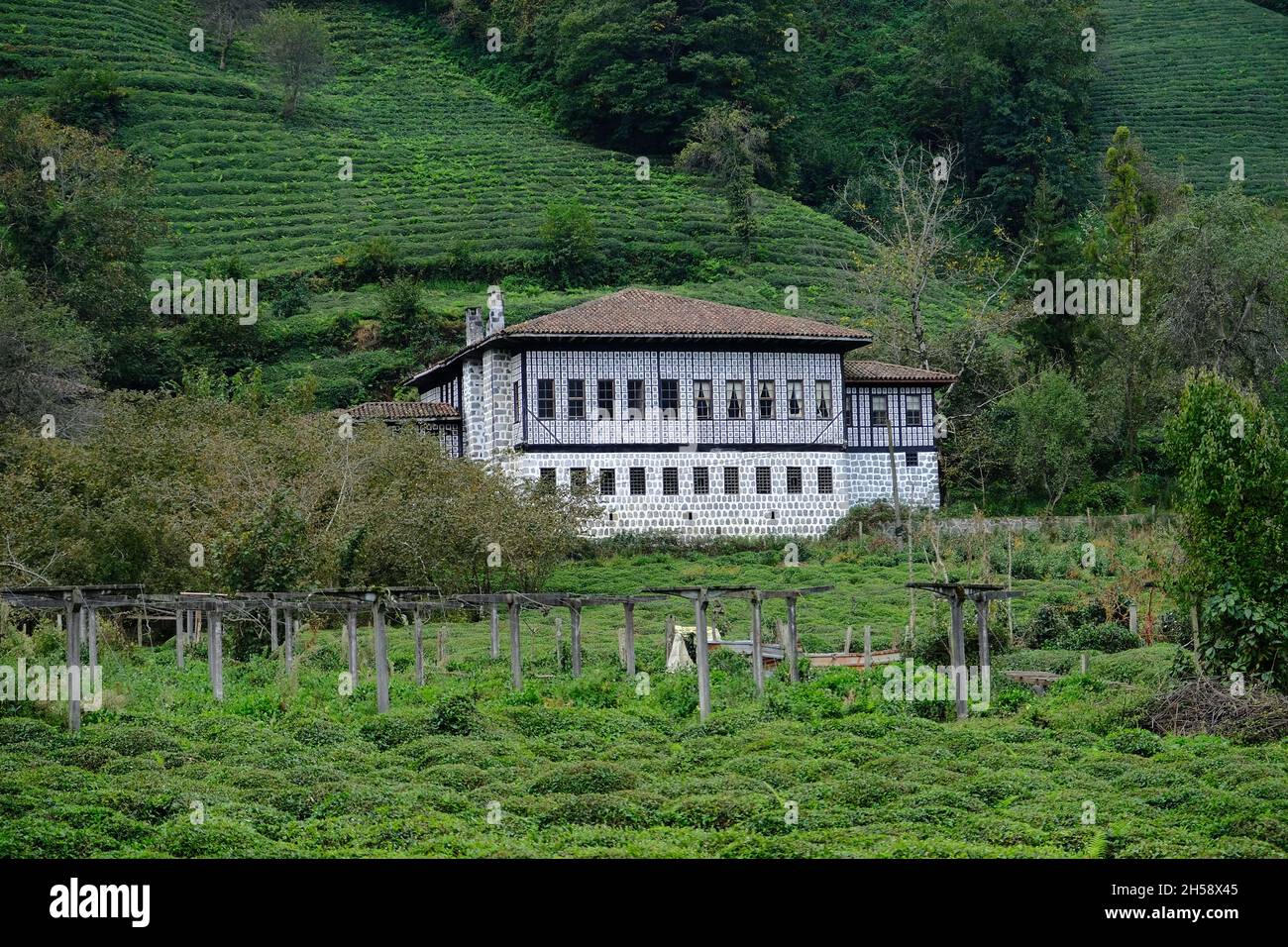 Traditional historical houses in the Çağlayan neighborhood of Artvin province, Fındıklı district. Stock Photo