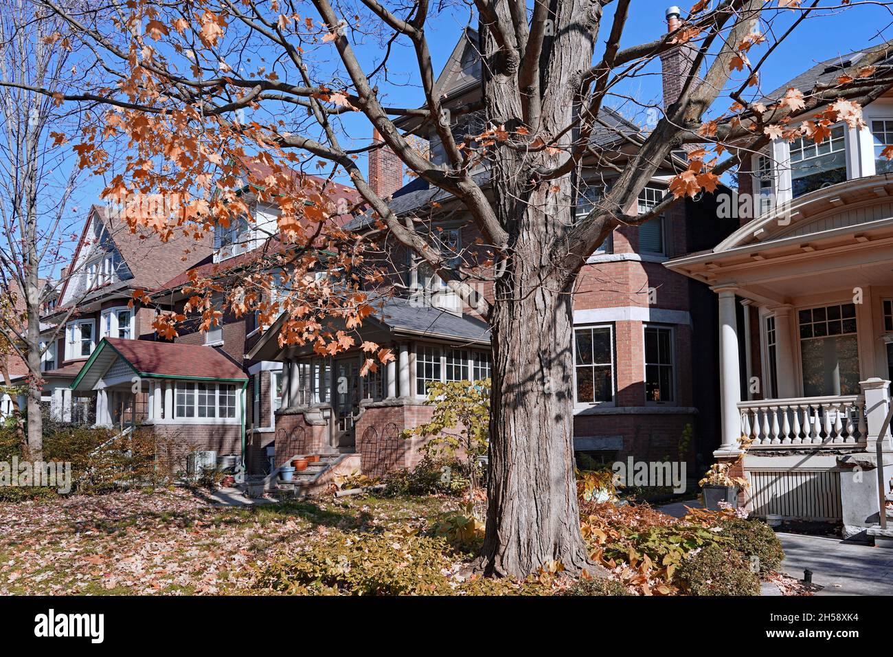 Street of traditional older detached houses with trees losing their leaves in the fall Stock Photo