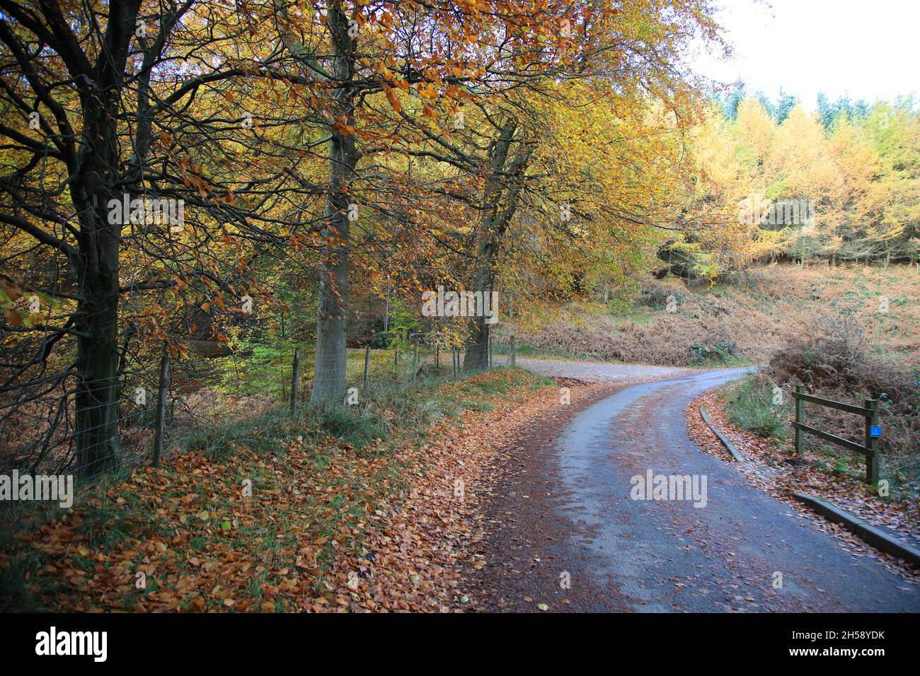 Peak District National Park, Derbyshire Stock Photo Alamy