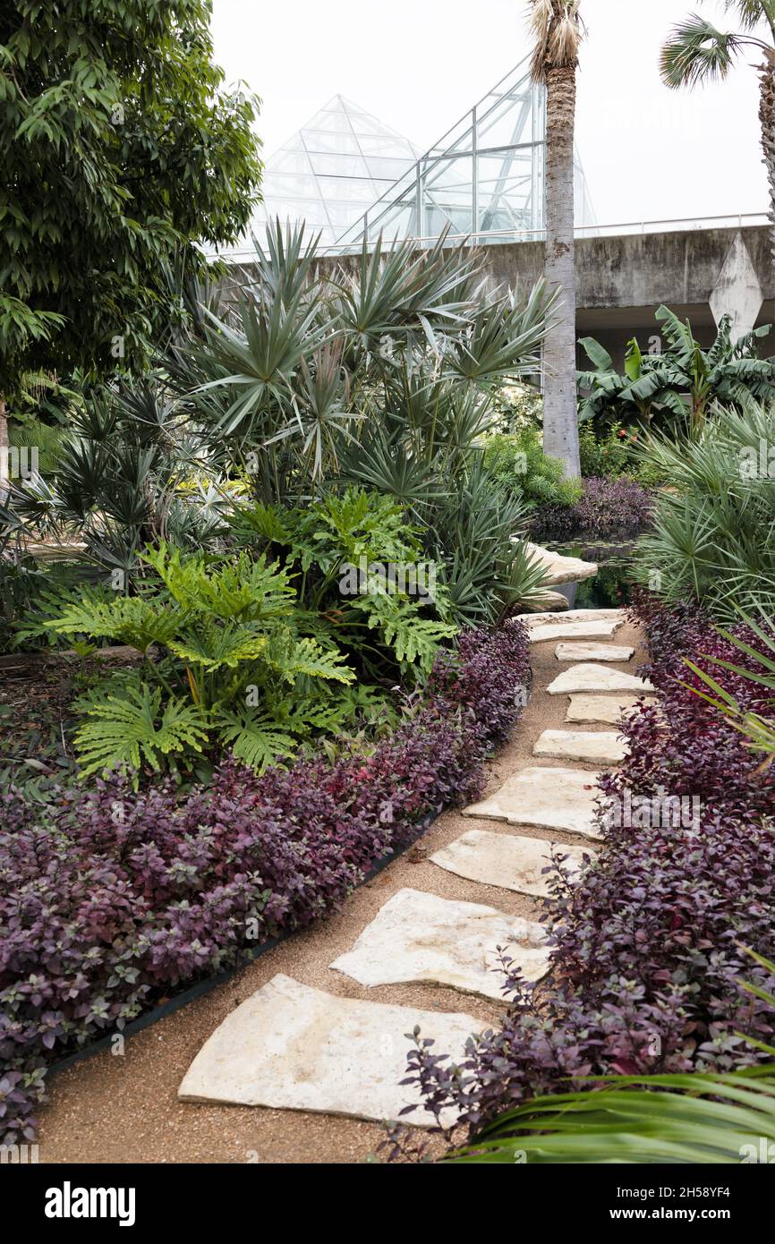 The San Antonio Botanical Garden in Texas Stock Photo - Alamy