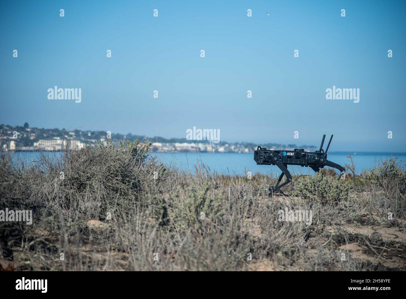 Monterey, United States of America. 03 November, 2021. A U.S. Air Force AT&T robotic dog Fido-G operates in the Sea Land Air Military Research facility during its Joint Interagency Field Experimentation November 3, 2021 in Monterey, California. Credit: MC2 James Norket/US Navy Photo/Alamy Live News Stock Photo