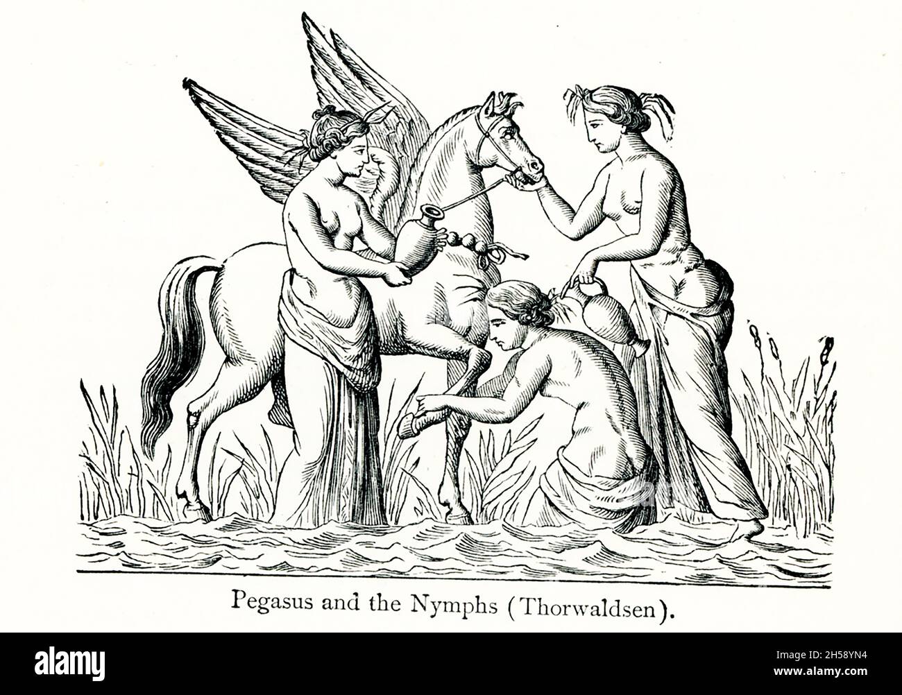 According to Greek mythology, the hero Bellerophon, with the aid of the winged horse Pegasus, slew the monster as the Chimaera, which was part lion, part goat, and part dragon. Bellerophon became too proud of his accomplishments and tried to fly to heaven on Pegasus, but was thrown and blinded—and according to one legend, killed. This illustration shows Pegasus and three nymphs caring for him. It was done by Bertel Thorvaldsen (1770 –1844), a Danish sculptor and medalist of international fame Stock Photo