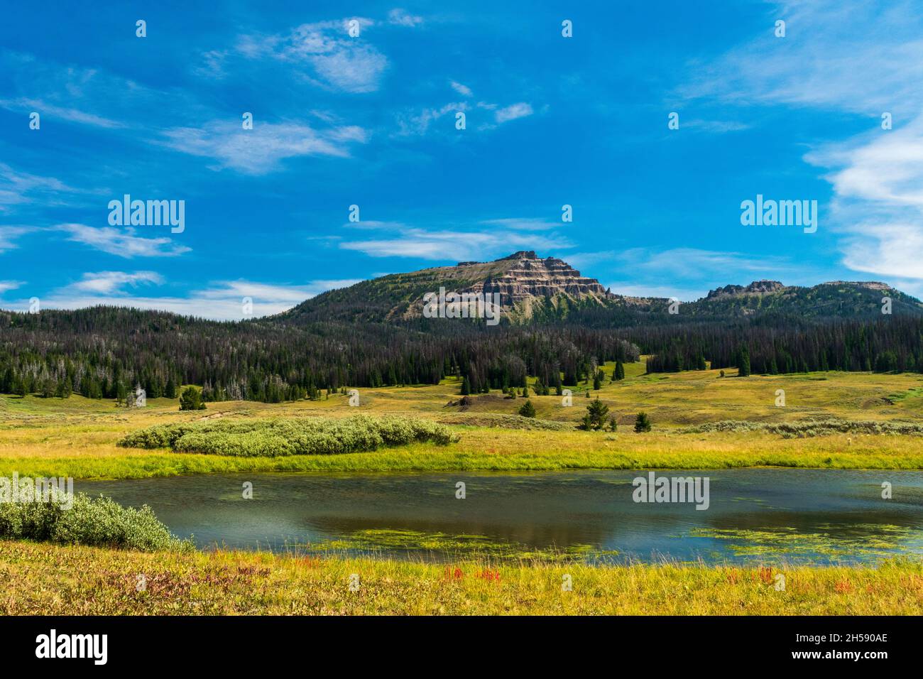 Tranquil summer afternoon in Bridger-Teton National Forest, Wyoming Stock Photo