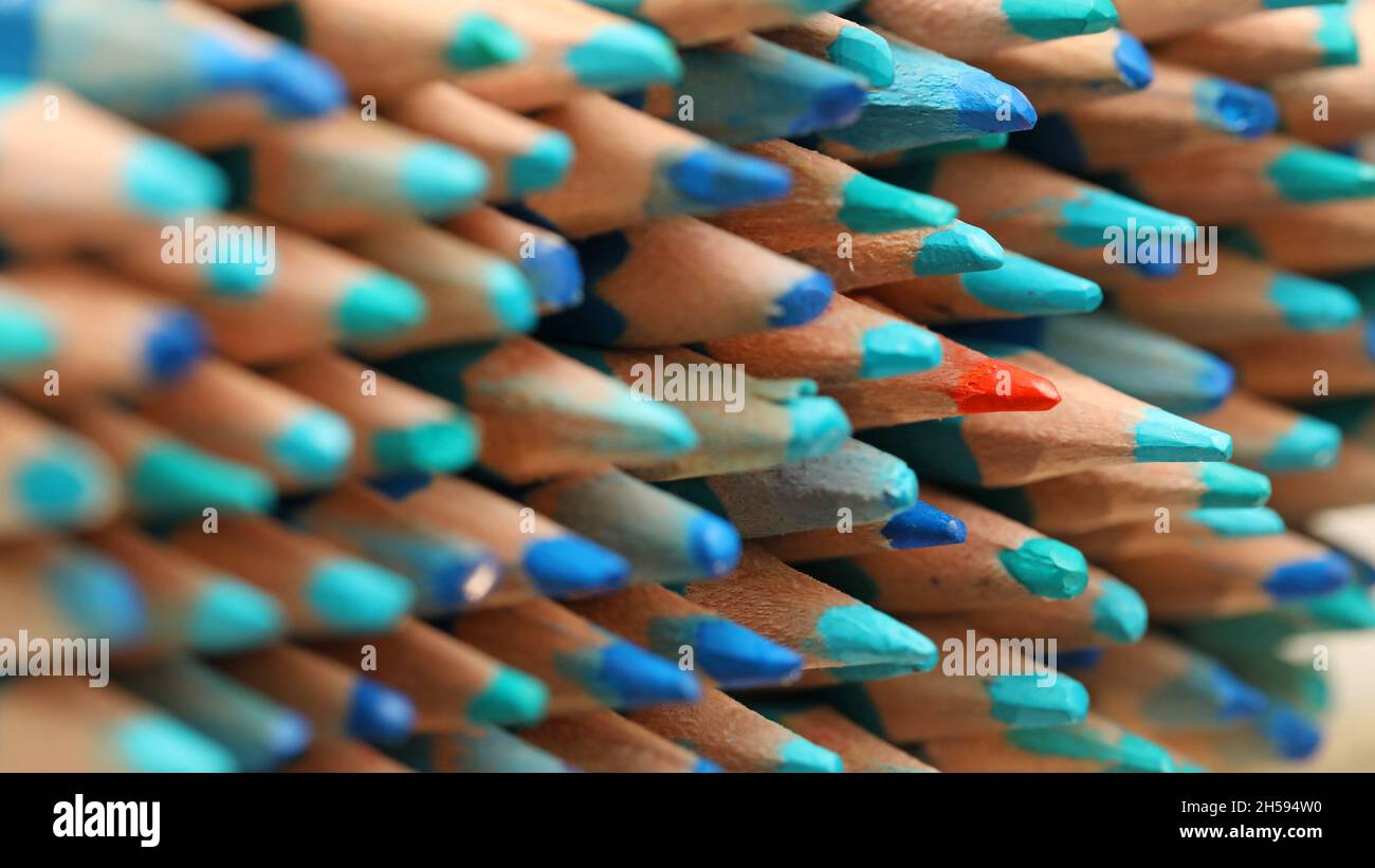 A single sharp orange colored pencil pointing in the opposite direction to the blue pencils. Standing out in the crowd or being different concept. Ide Stock Photo