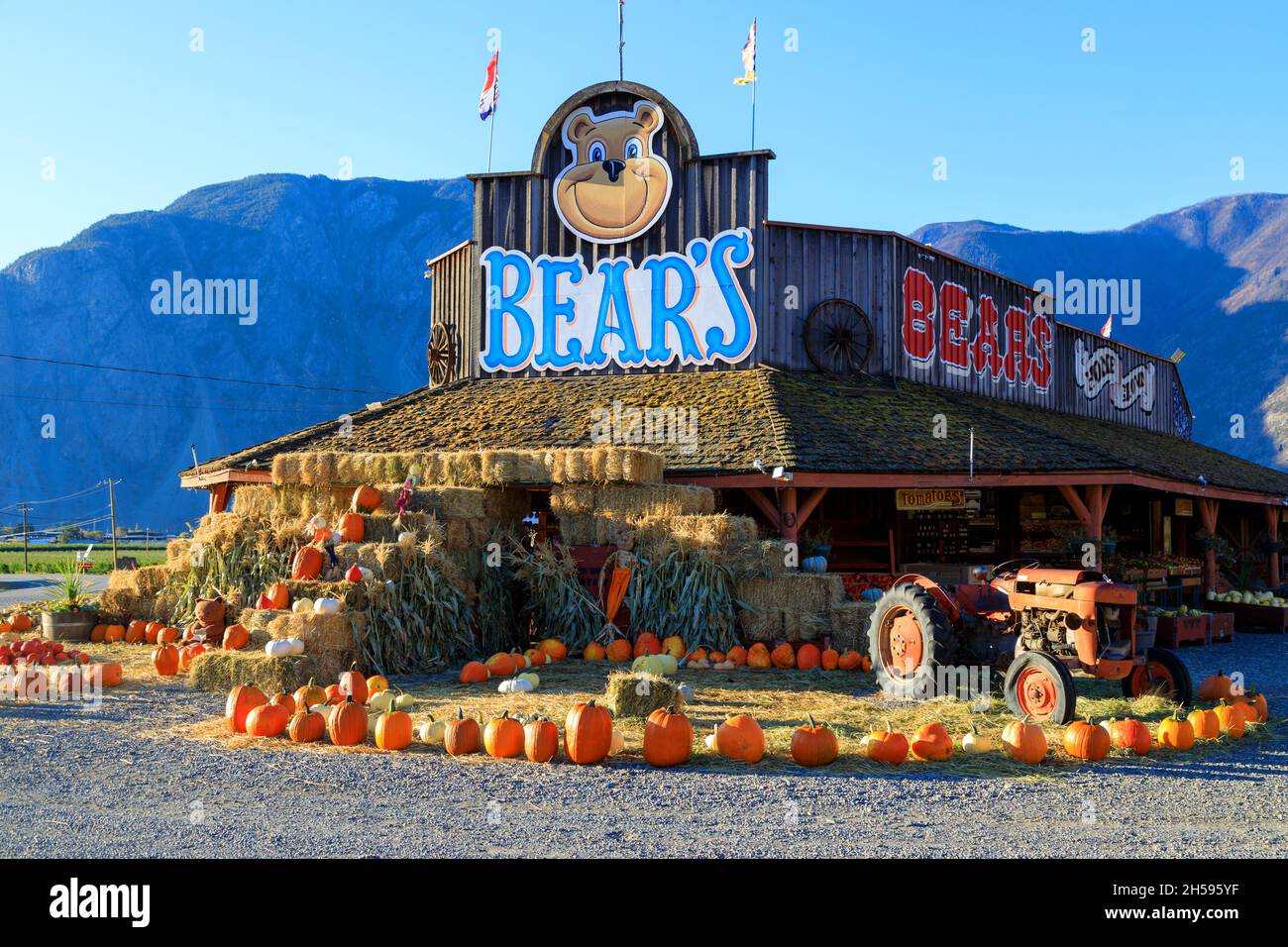 Keremeos, British Columbia, Canada September 30, 2021 Bears fruit