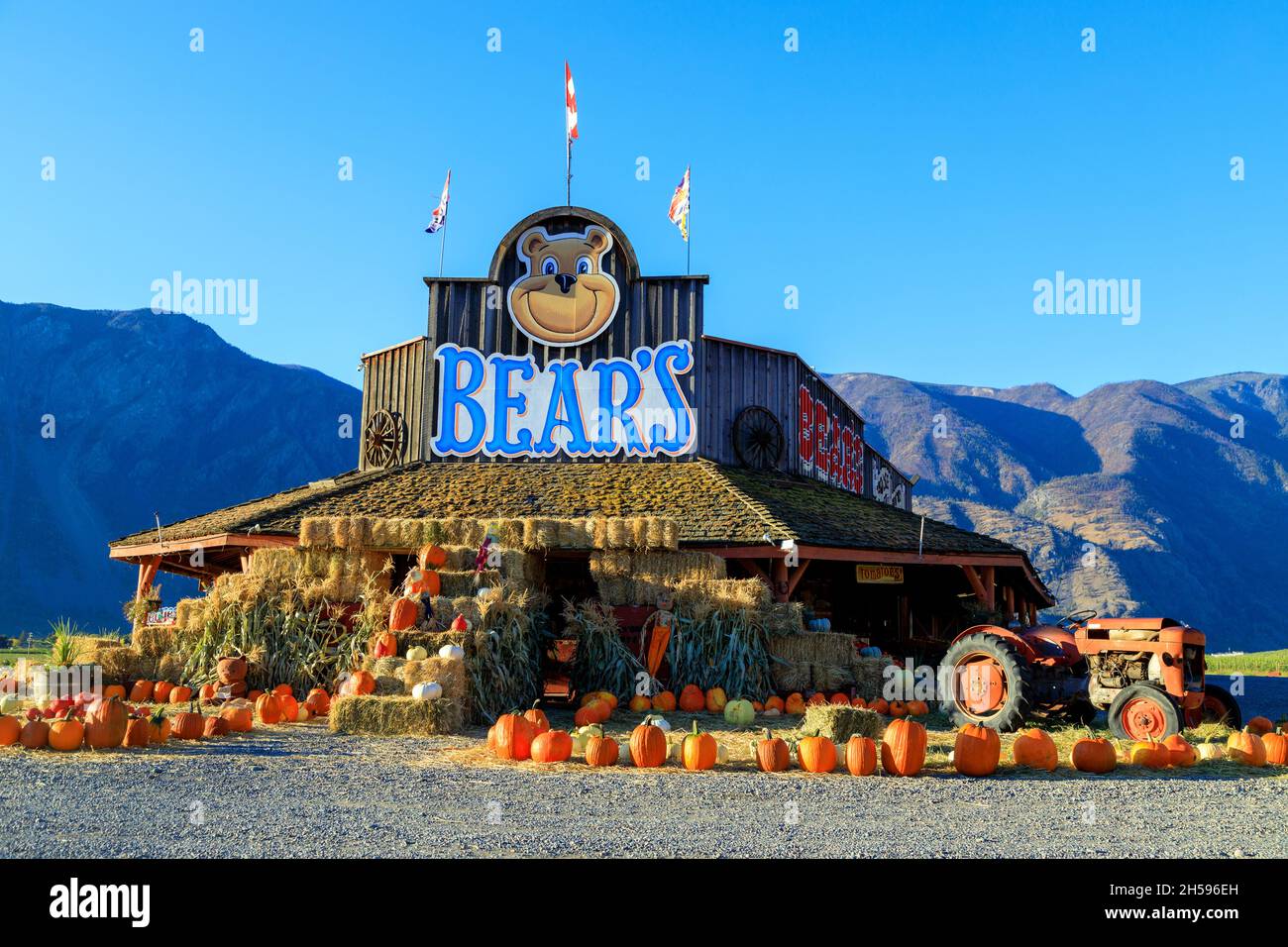 Keremeos, British Columbia, Canada September 30, 2021 Bears fruit