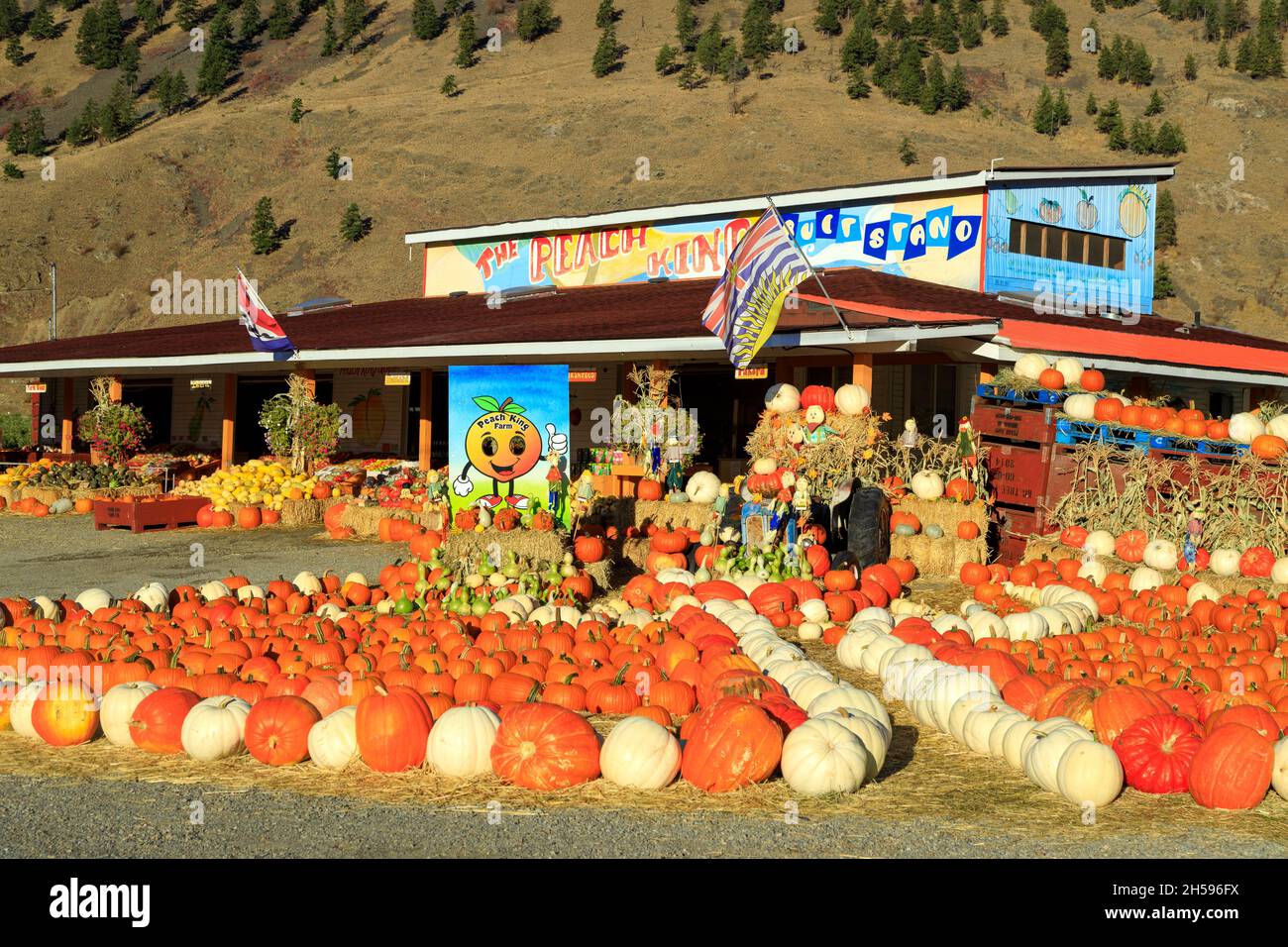Keremeos, British Columbia, Canada September 30, 2021 The Peach King