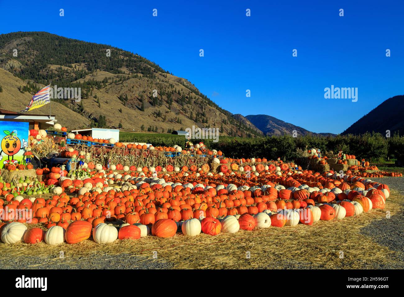 Bc Farm Stand High Resolution Stock Photography and Images Alamy