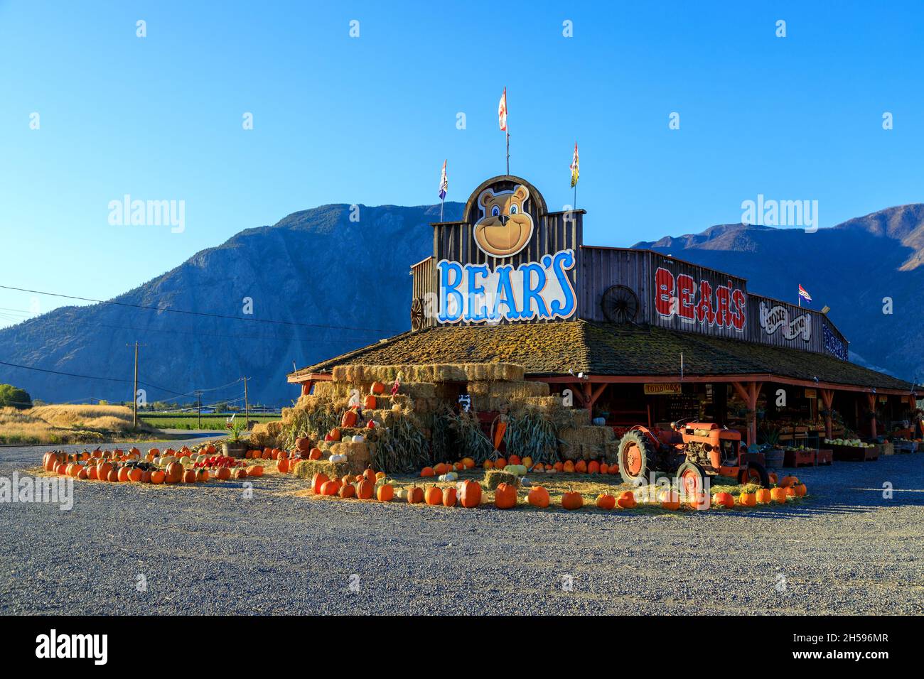 Keremeos, British Columbia, Canada September 30, 2021 Bears fruit