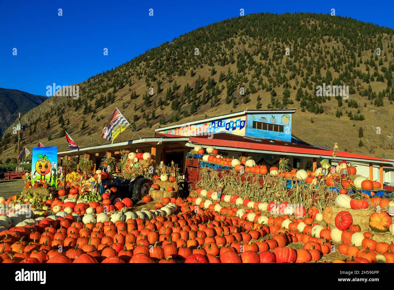 Keremeos, British Columbia, Canada September 30, 2021 The Peach King