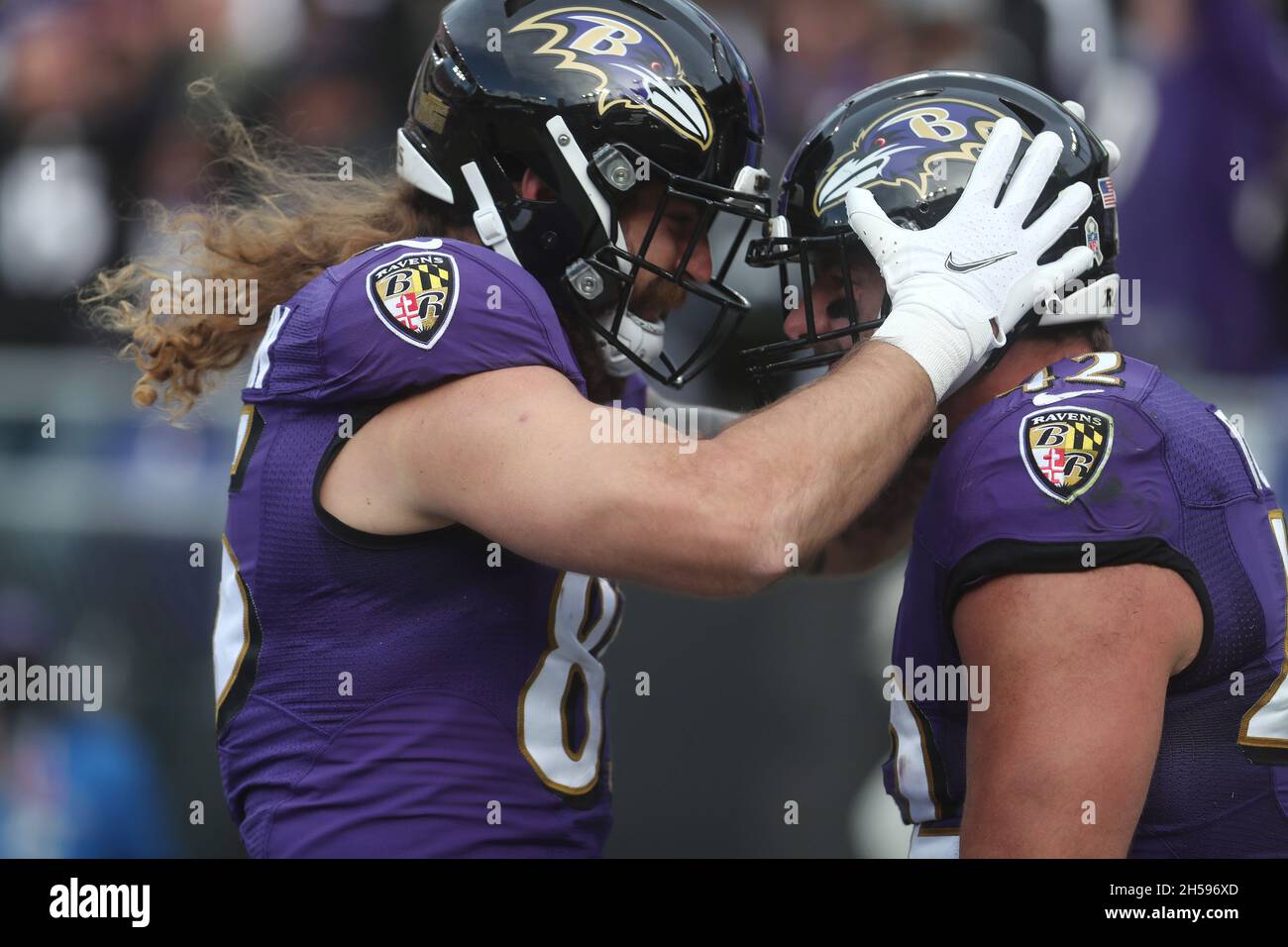 Baltimore, USA. 07th Nov, 2021. Baltimore Ravens FB Patrick Ricard (42) is congratulated by Baltimore Ravens TE Eric Tomlinson (85) after scoring a touchdown in a game against the Minnesota Vikings at M&T Bank Stadium in Baltimore, Maryland on November 7, 2021. Photo/ Mike Buscher/Cal Sport Media Credit: Cal Sport Media/Alamy Live News Stock Photo