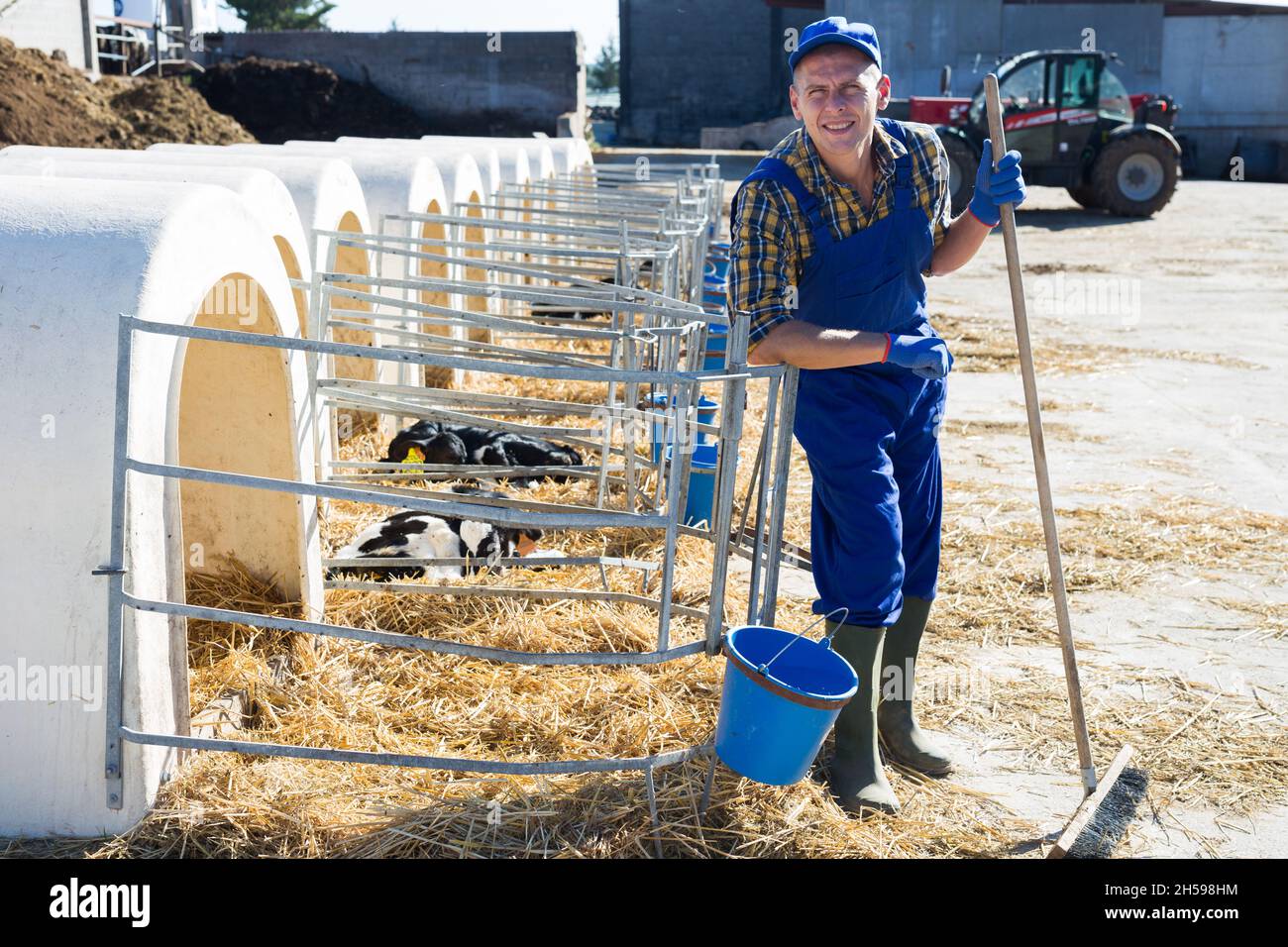 Dairy farm worker cleaning and feeding calves on farm Stock Photo Alamy