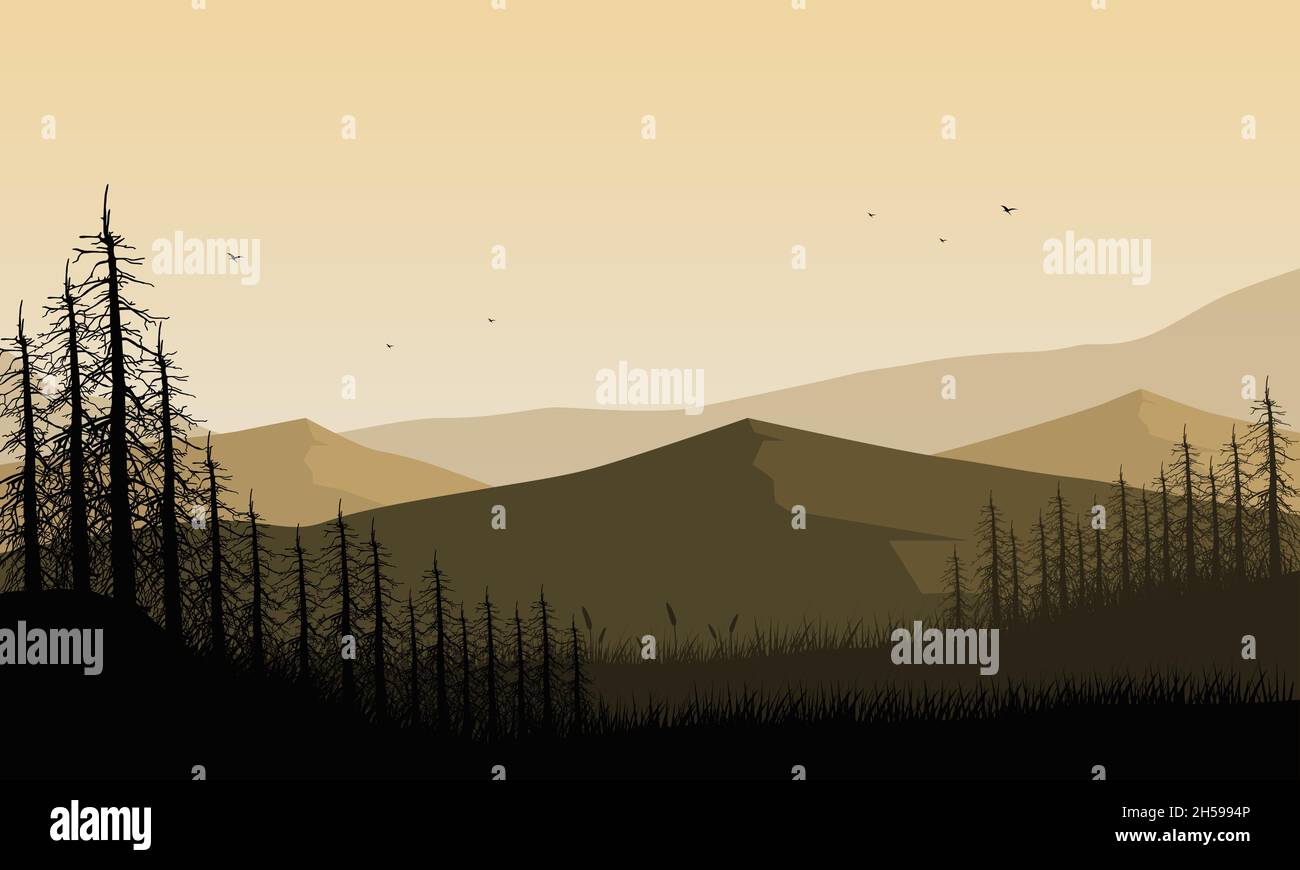 Mountain view with a dramatic silhouette of dry pine trees at sunrise ...