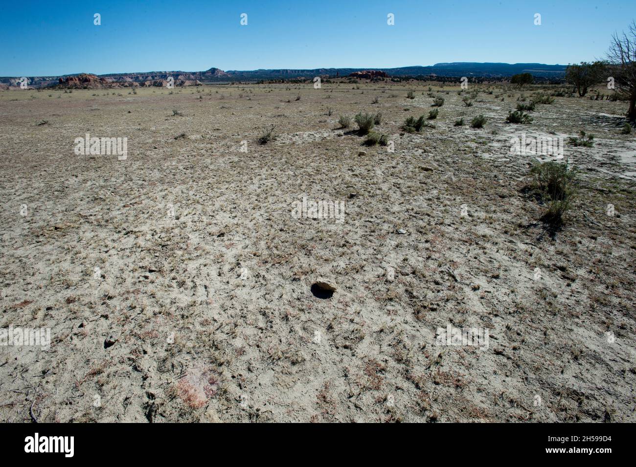 Severe overgrazing in Kodachrome Basin State Park, Utah Stock Photo