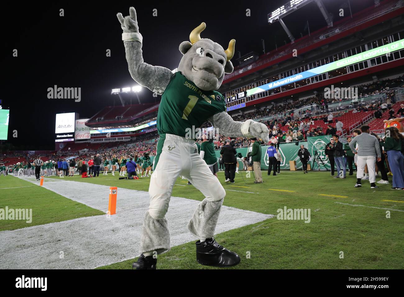 Tampa, FL, USA. 6th Nov, 2021. The South Florida Bulls mascot cheers works up the crow during the game between the Houston Cougars and the South Florida Bulls at Raymond James Stadium in Tampa, FL. (Photo by Peter Joneleit). Credit: csm/Alamy Live News Stock Photo