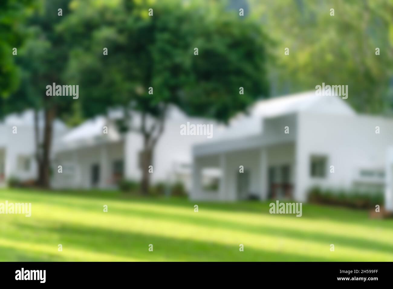 Blurred background of white houses lined up on a grassy hillside. surrounding big trees, The evening sunlight hits the grass. Stock Photo