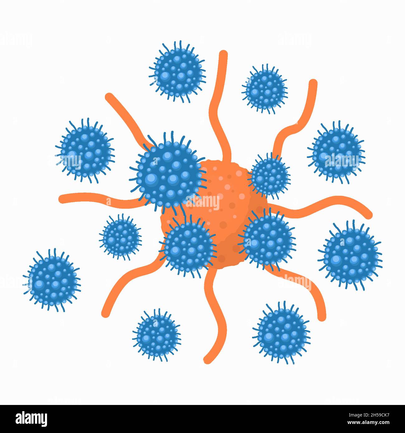 illustration vector flat design T cell or T lymphocyte attacking cancer cell. isolated design Stock Vector