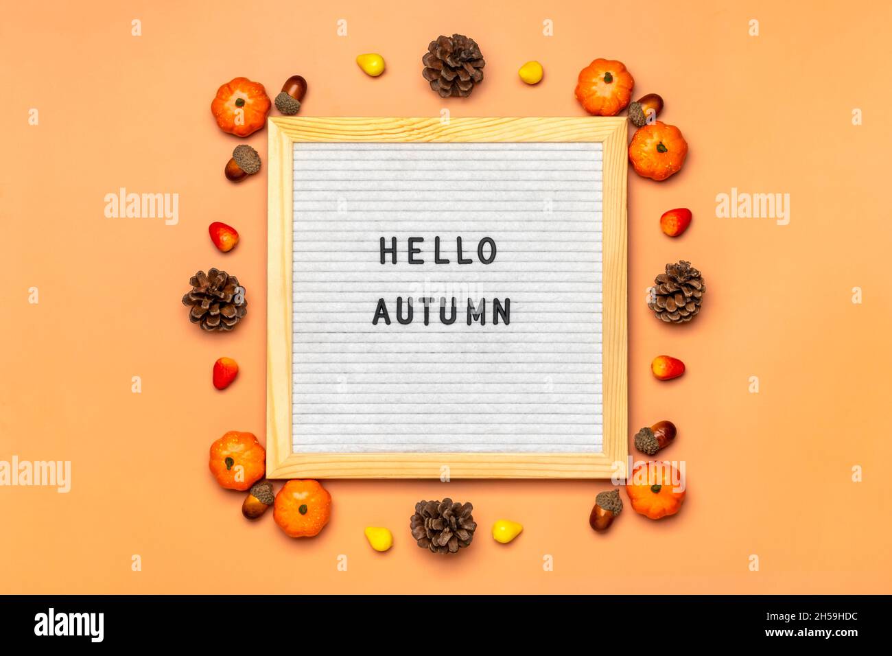 Felt boar with text Hello autumn, pumpkin on orange color background Top view Flat lay Seasonal concept Hello September, October, November. Stock Photo