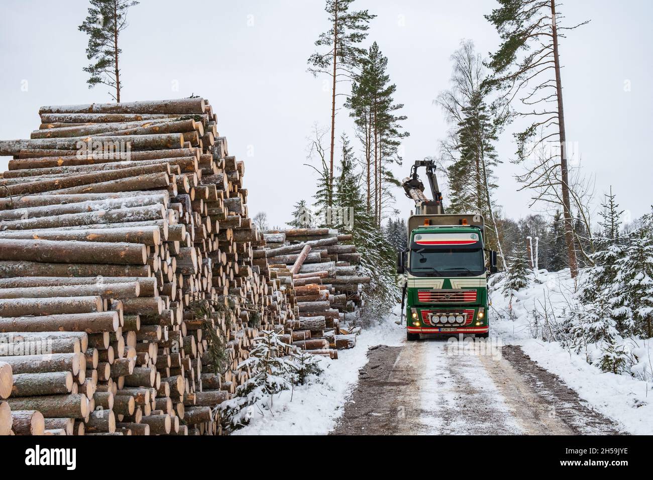 Timber loading to a truck on the winter Stock Photo - Alamy