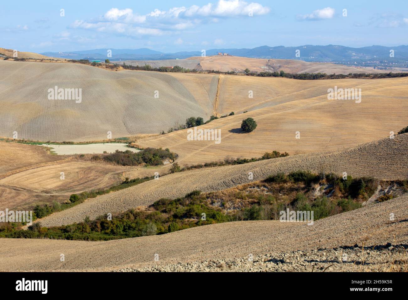 Typical landscape in val d' Orcia, Tuscany, Italy Stock Photo