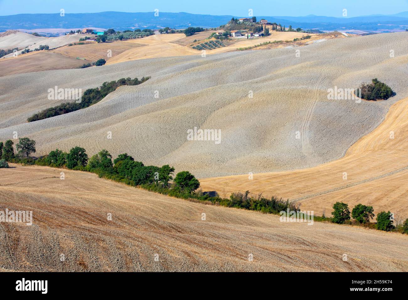 Typical landscape in val d' Orcia, Tuscany, Italy Stock Photo
