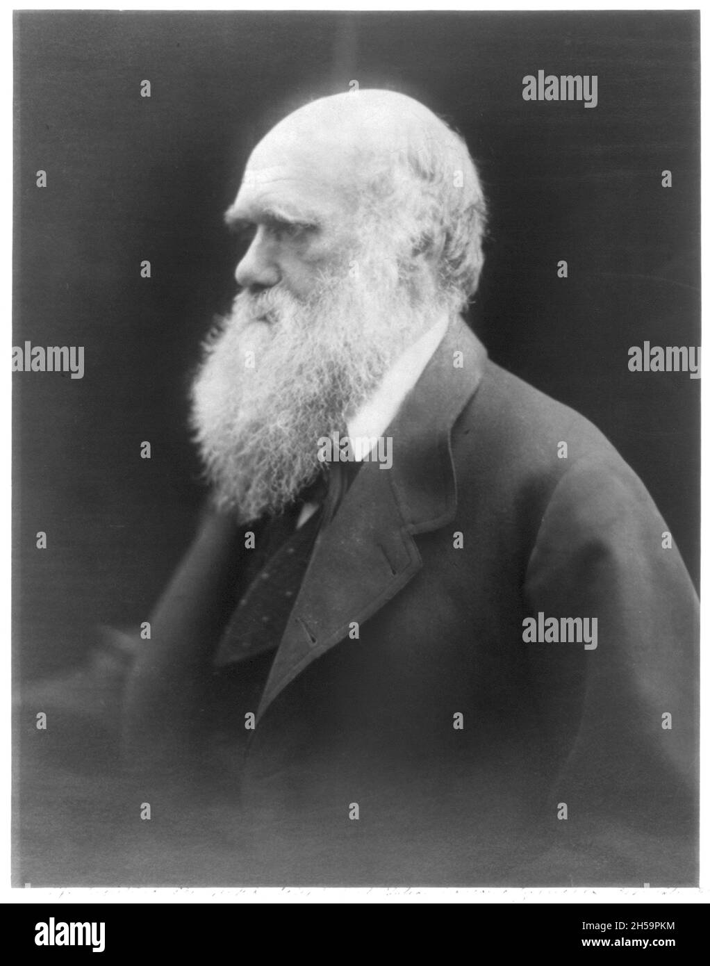 Vintage photograph circa 1880 of Charles Darwin the famous naturalist and author of On the Origin of Species and proponent of the theory of evolution. Stock Photo