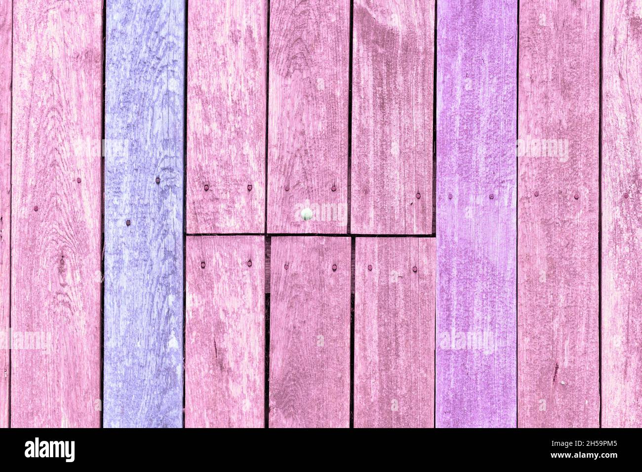 Wooden background with pink and purple painted planks Stock Photo