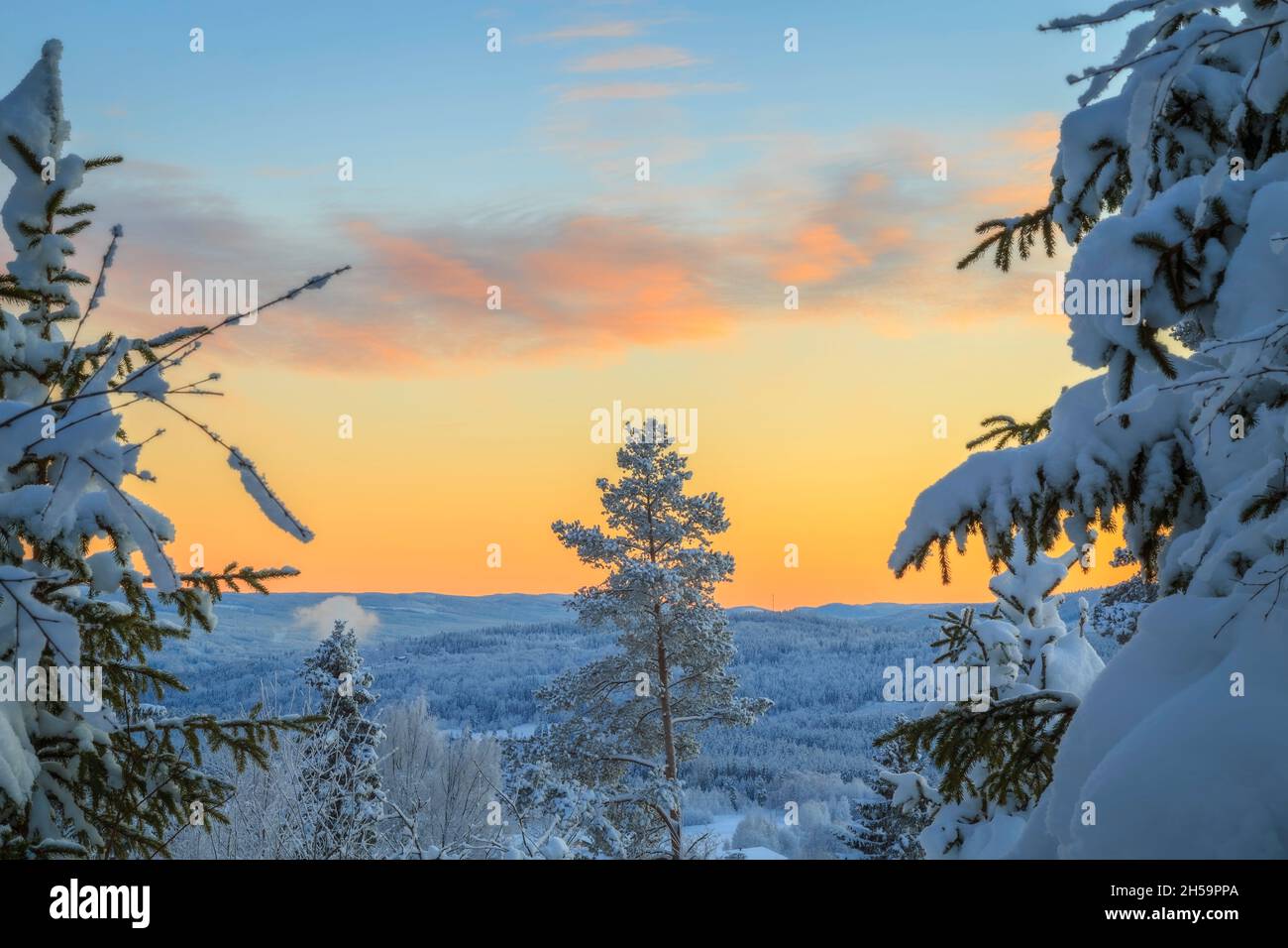 forest mountain winter landscape with sundown and snow Stock Photo