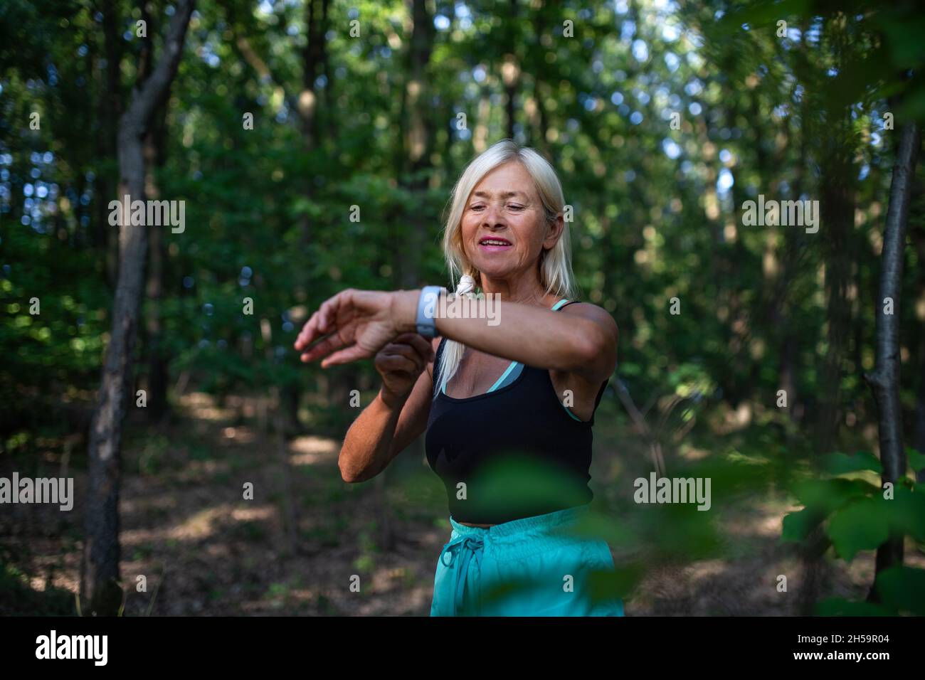 Portrait of active senior woman runner standing outdoors in forest, setting smartwatch. Stock Photo
