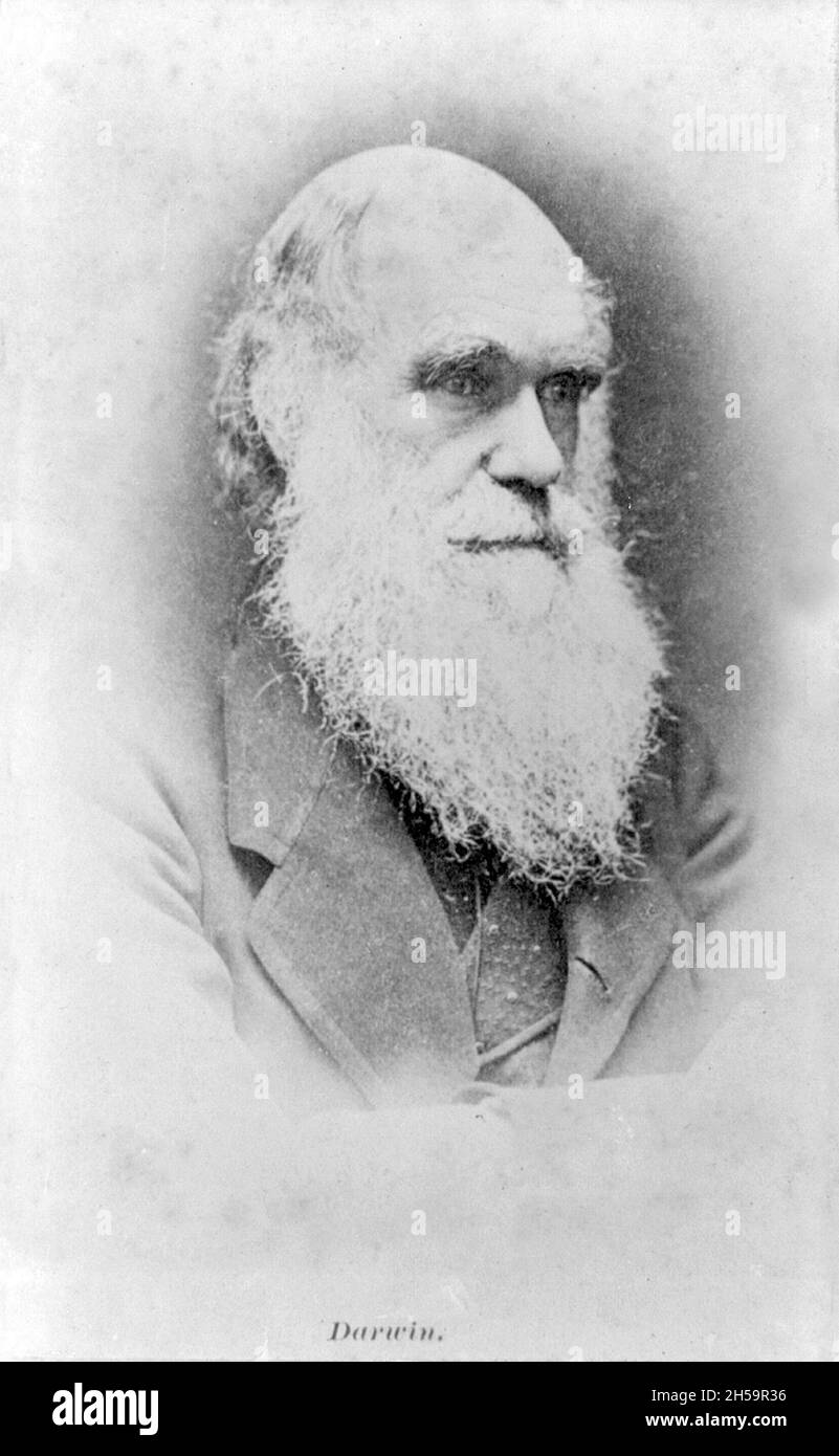 Vintage photograph circa 1880 of Charles Darwin the famous naturalist and author of On the Origin of Species and proponent of the theory of evolution. Stock Photo