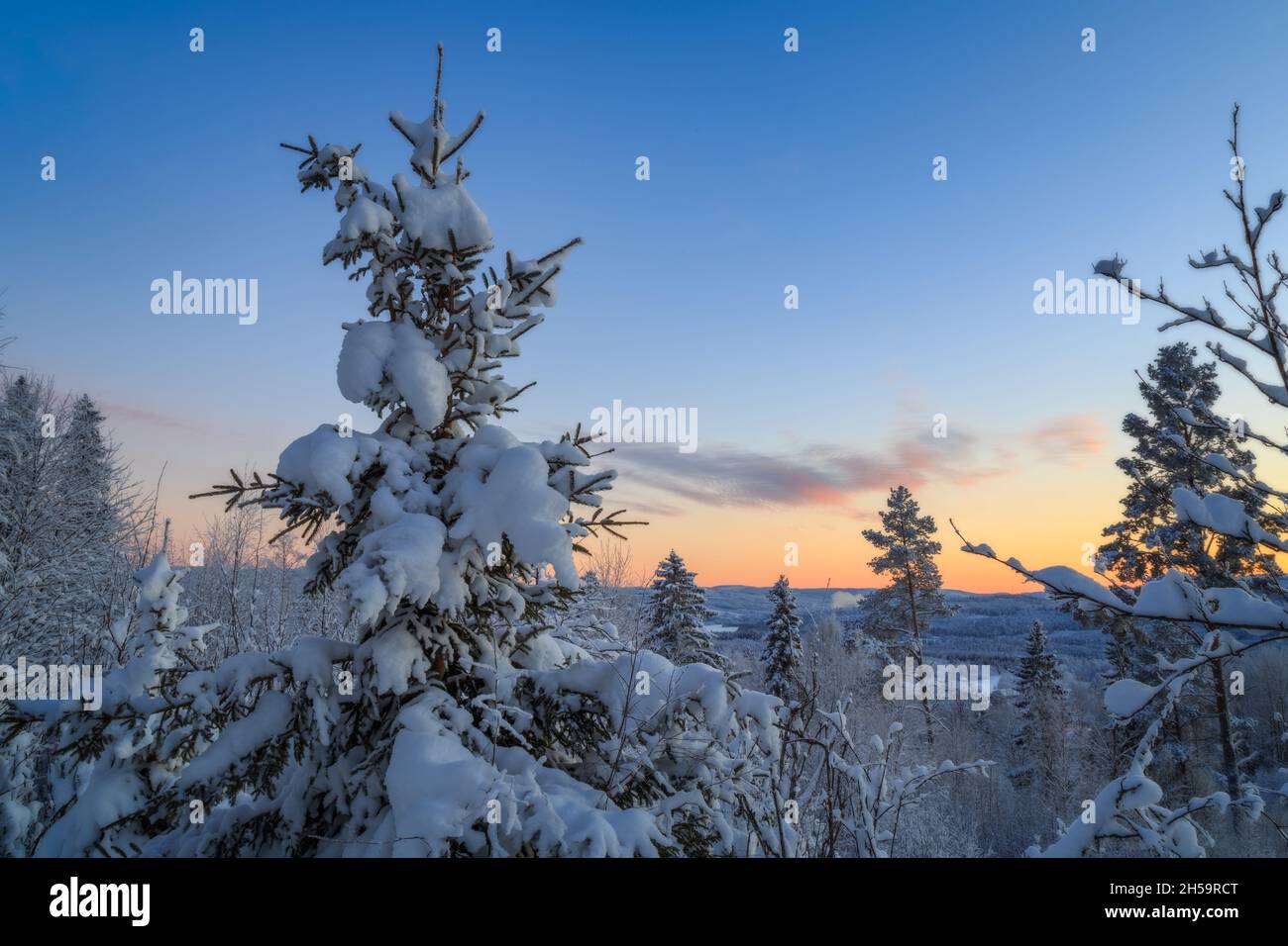 forest mountain winter landscape with sundown and snow Stock Photo
