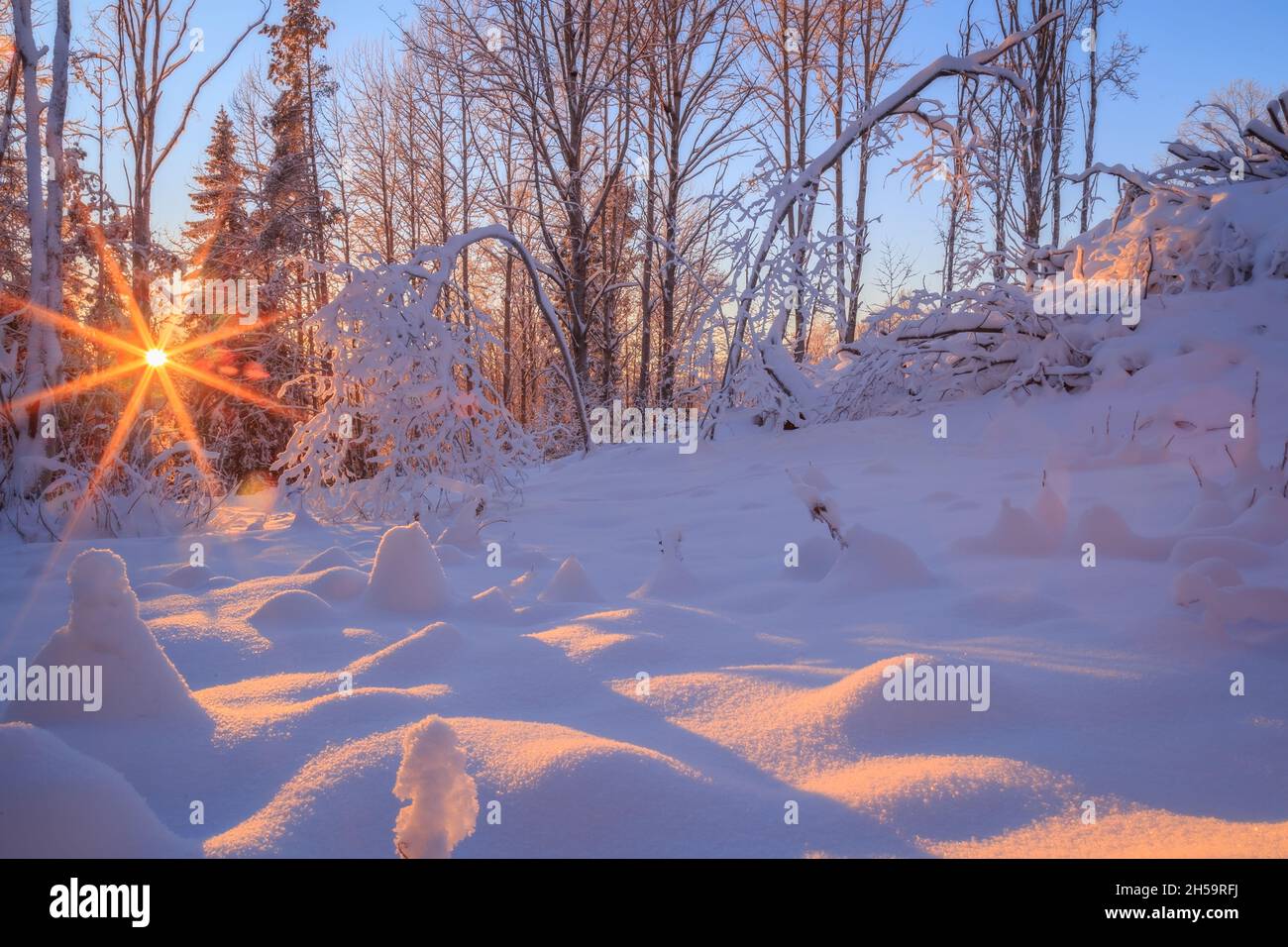 forest mountain winter landscape with sun flares and snow Stock Photo