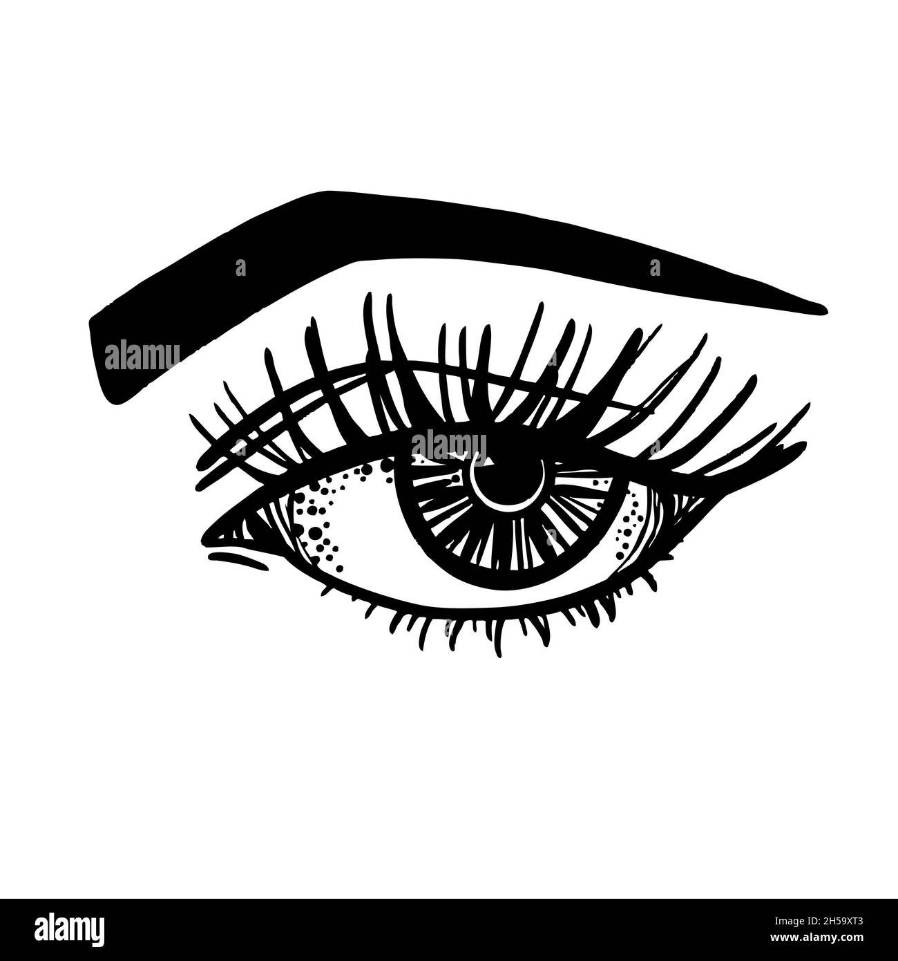 Female eye with eyelashes and eyebrows, black and white vector sketch Stock Vector