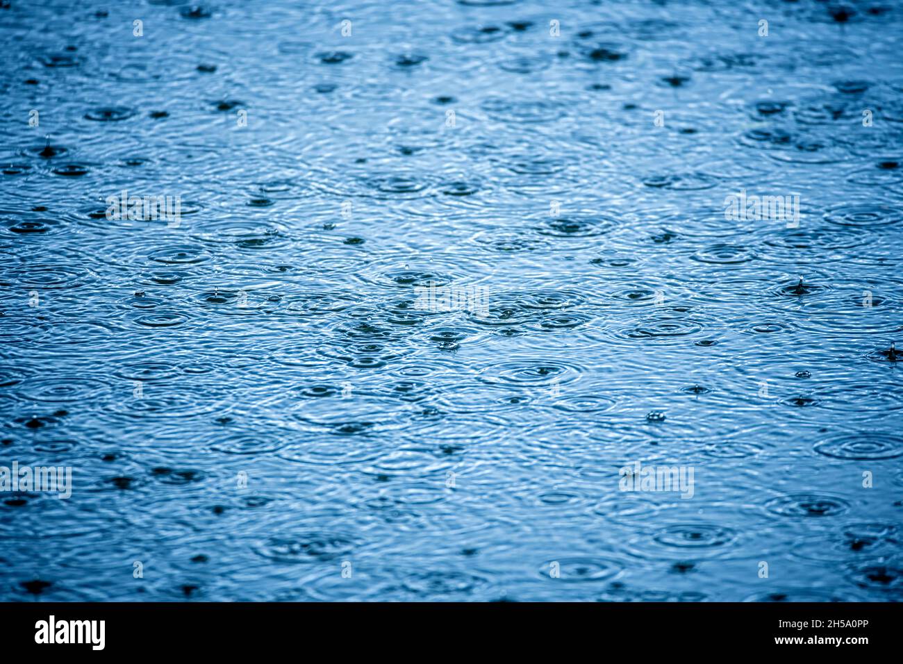 Regentropfen bilden kleine Wellenkreise auf einem See Stock Photo