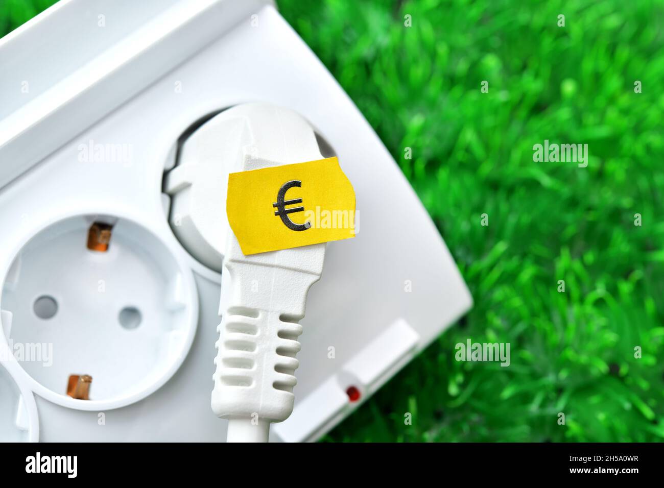 Stecker mit Preisetikett und Steckdose auf Gras, Symbolfoto für steigende Stromkosten Stock Photo