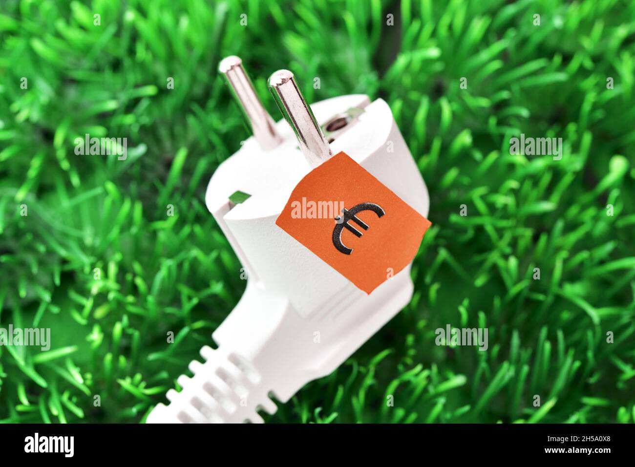 Stecker mit Preisetikett auf Gras, Symbolfoto für steigende Stromkosten Stock Photo