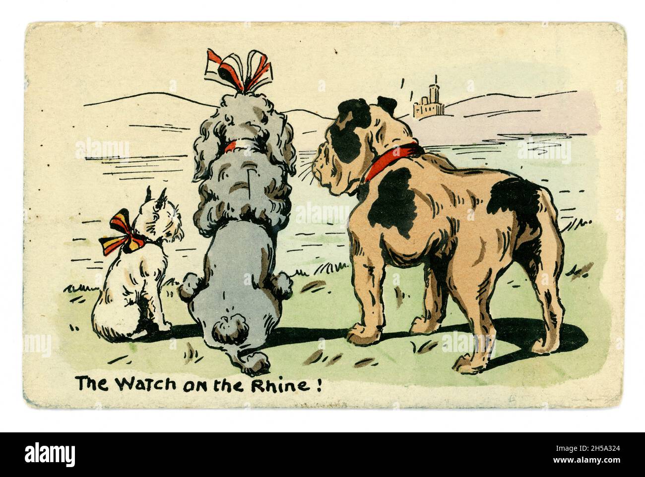 Original WW1 postcard of 3 dogs representing the allies - France Belgium, Britain. The Watch on the Rhine! was a German patriotic anthem. Card published By E.W. Savory Ltd. Bristol, U.K. circa 1914 Stock Photo