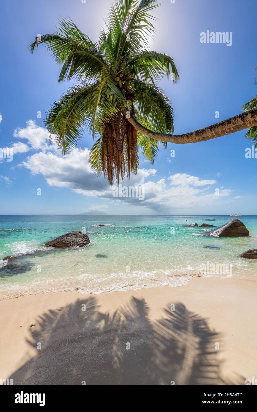Sunny beach with coco palms and tropical sea in paradise island Stock Photo