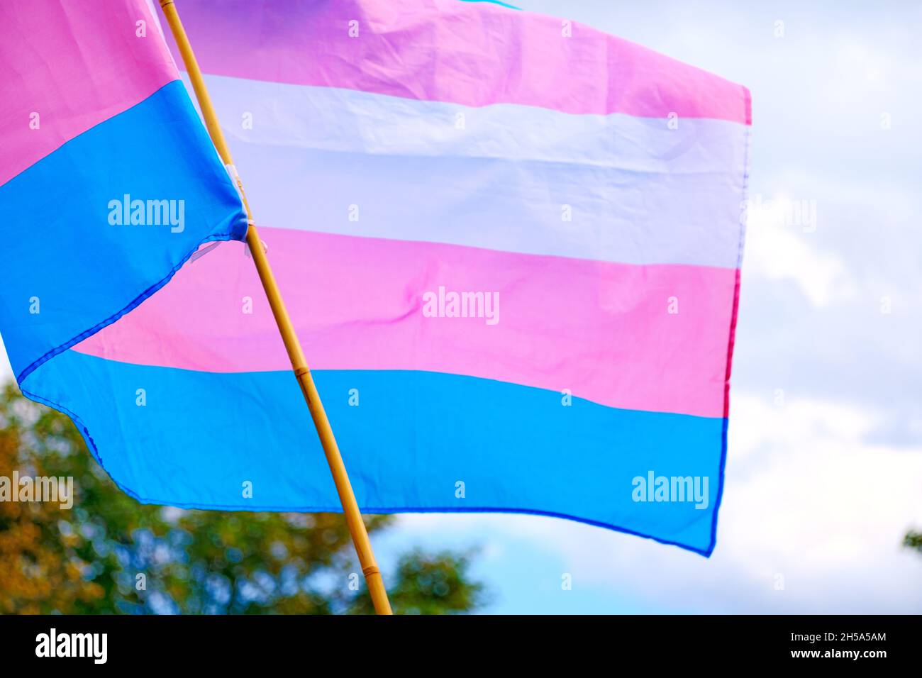 Transgender Pride Flag - pink, blue and white colors Stock Photo